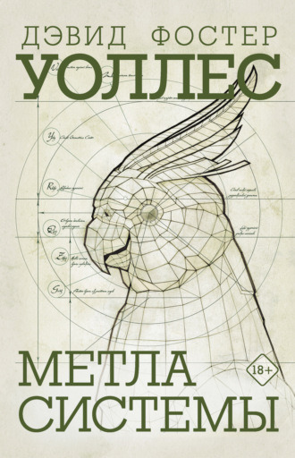 Дэвид Уоллес, Метла системы